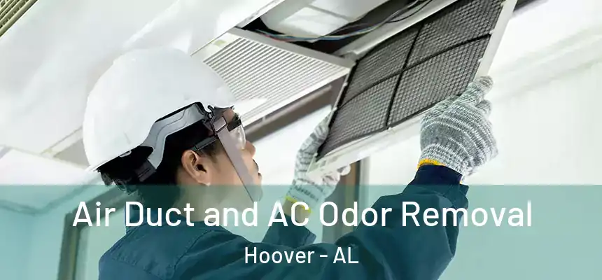  Air Duct and AC Odor Removal Hoover - AL