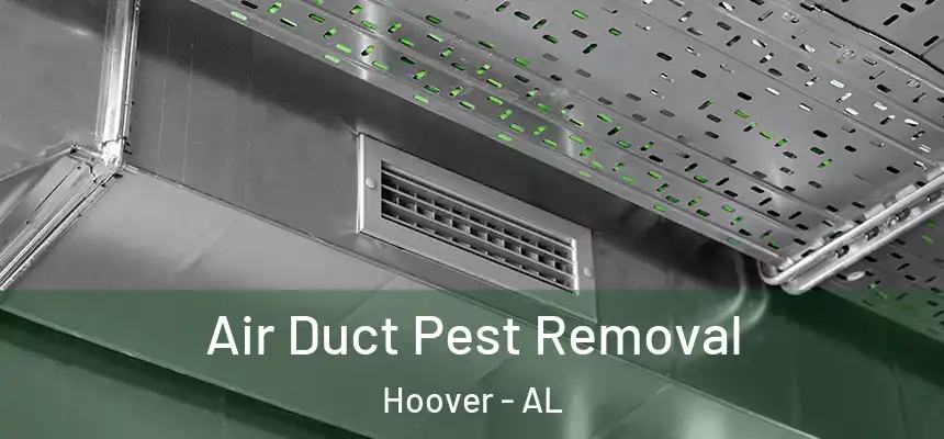 Air Duct Pest Removal Hoover - AL