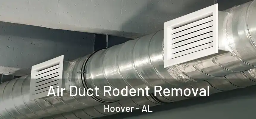 Air Duct Rodent Removal Hoover - AL