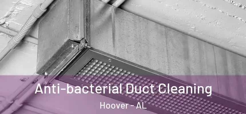Anti-bacterial Duct Cleaning Hoover - AL