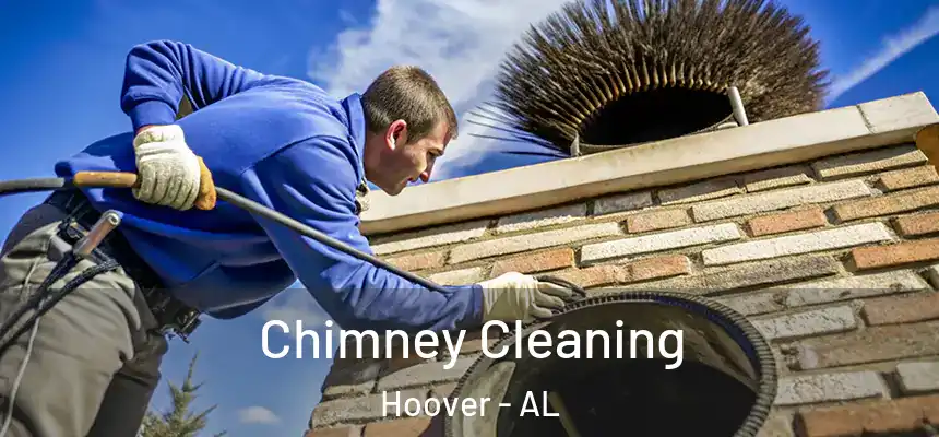 Chimney Cleaning Hoover - AL