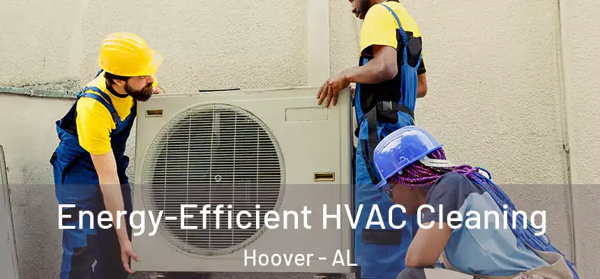 Energy-Efficient HVAC Cleaning Hoover - AL