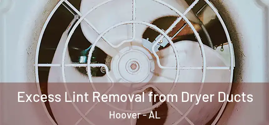  Excess Lint Removal from Dryer Ducts Hoover - AL