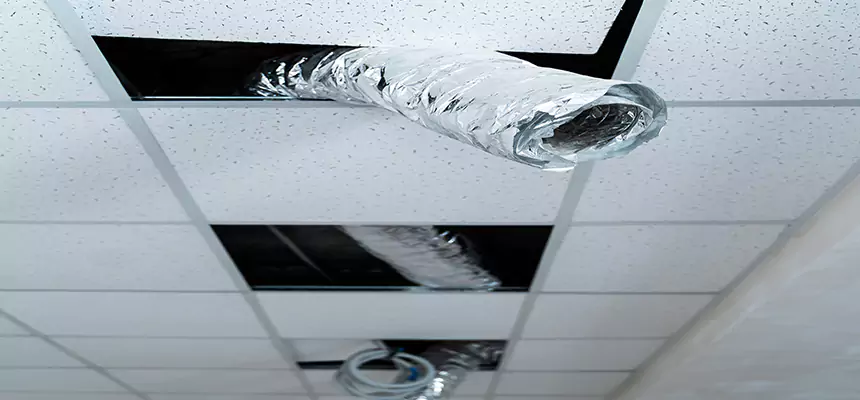 Our Air Duct Pet Hair Removal Services in Hoover, AL