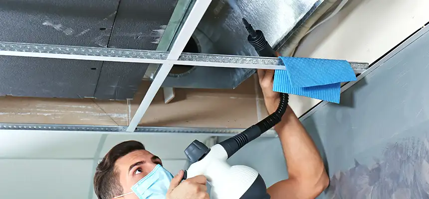 Our Air Duct Rodent Removal Services in Hoover, AL