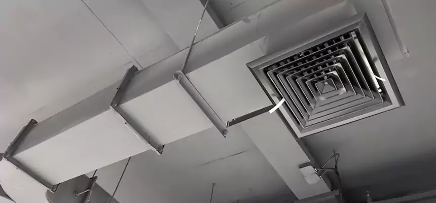 Restorative Allergy Relief Vent Cleaning – Coil, Blower & Housing Detail in Hoover