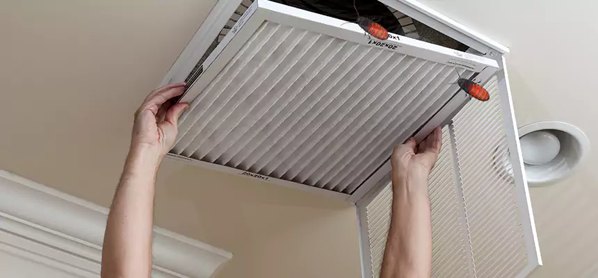 Our Insect Removal from Air Ducts Services in Hoover, AL