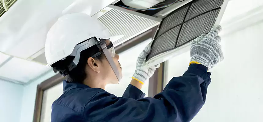 Our Mold & Mildew Removal from Air Ducts Services in Hoover, AL