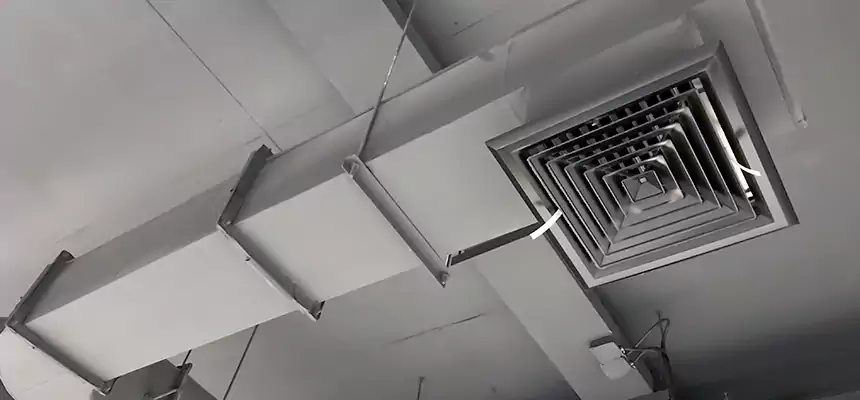 Our Pest Removal From Ducts Services in Hoover, AL