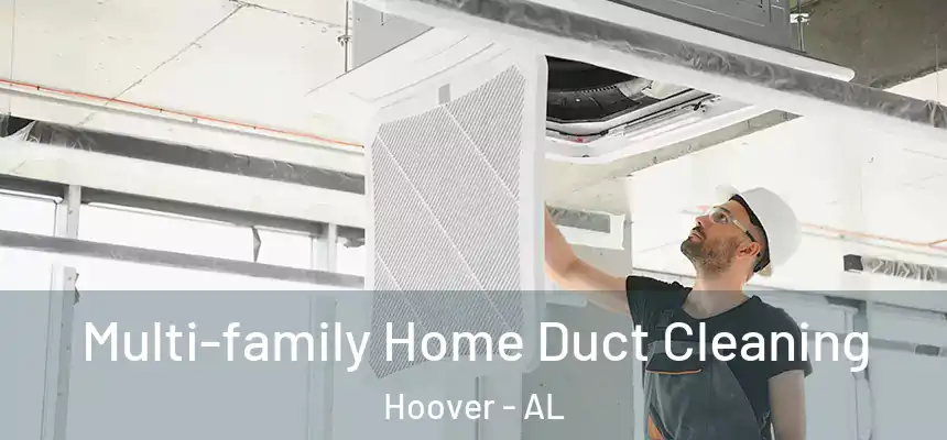 Multi-family Home Duct Cleaning Hoover - AL