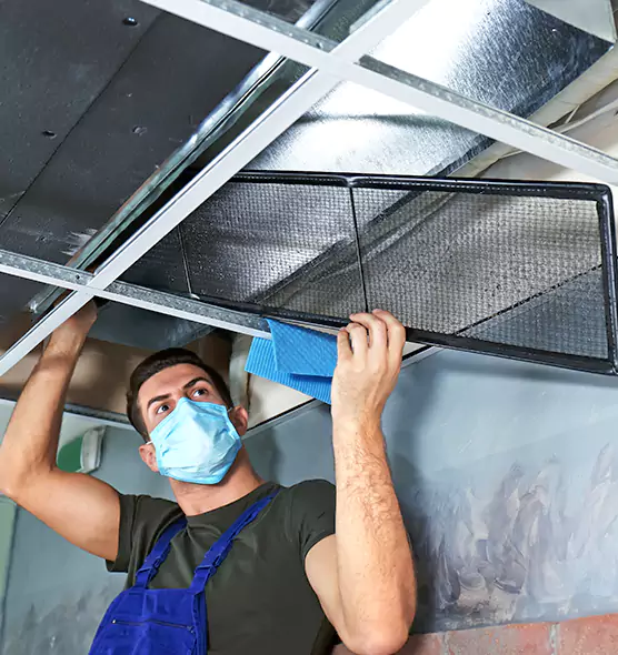 Professional Air Duct Pollen Cleaning in Hoover, AL