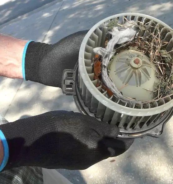 About Air Duct Rat Removal in Hoover, AL