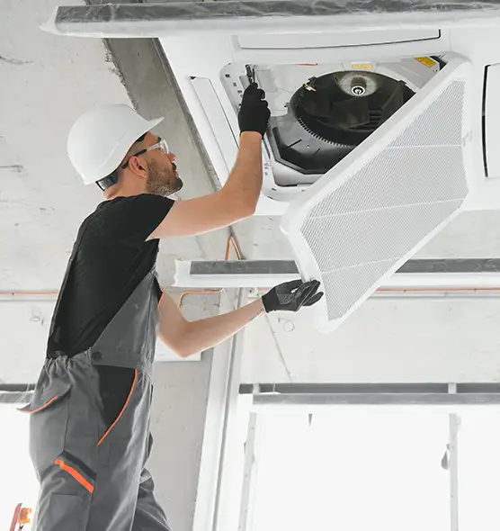 About Air Duct Rodent Removal in Hoover, AL