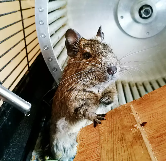 Why Homeowners & Businesses Trust Us Hoover, AL