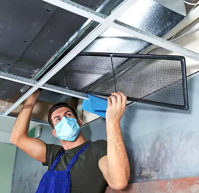 Why Homeowners Businesses Trust Us in Hoover, AL