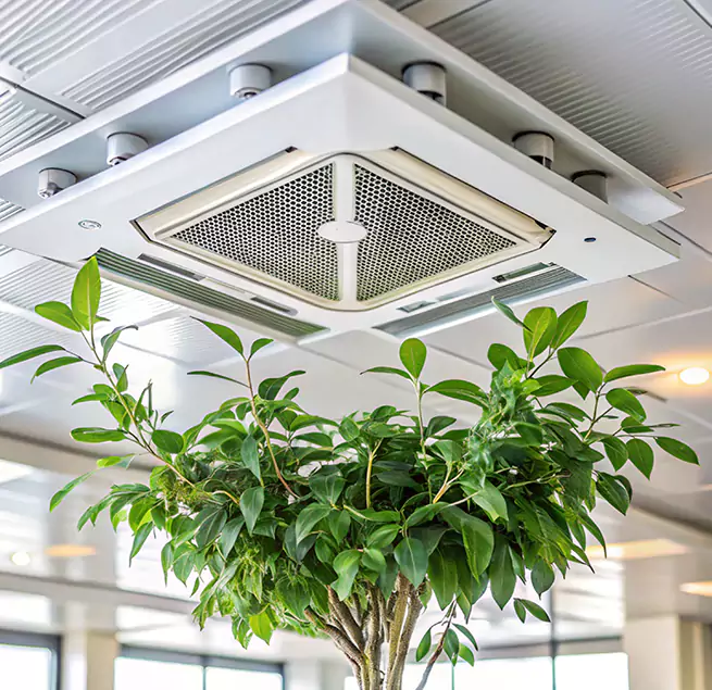 Why Homeowners & Businesses Trust Us in Hoover, AL?