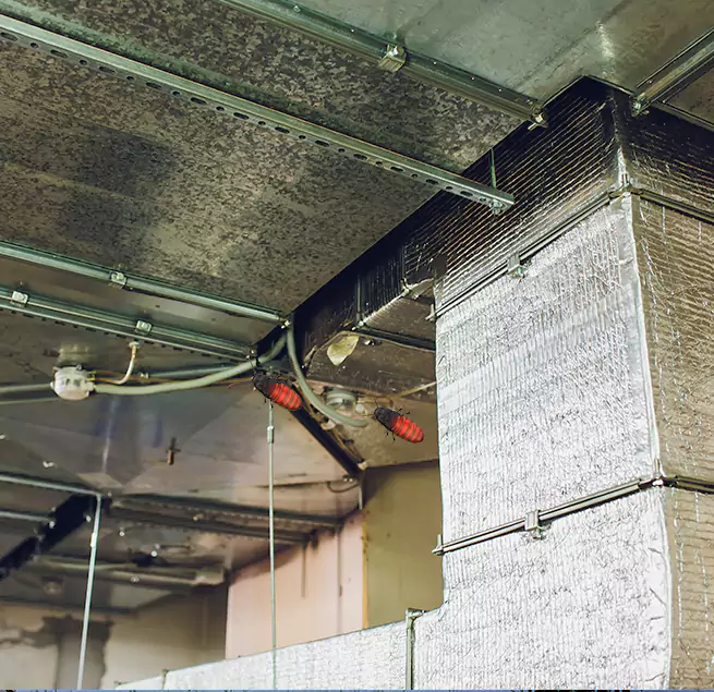 Why Homeowners & Businesses Trust Us Hoover, AL?