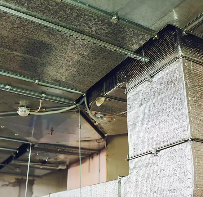 Why Homeowners & Businesses Trust Us in Hoover, AL?