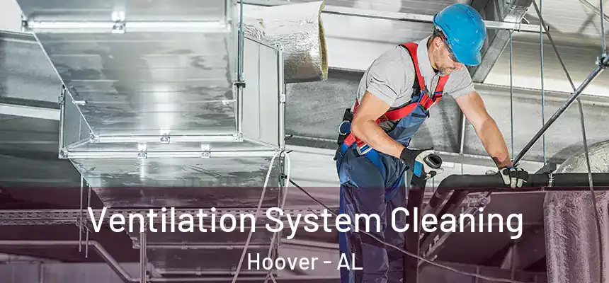 Ventilation System Cleaning Hoover - AL
